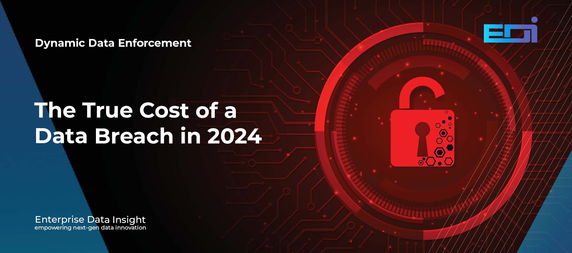 DDE The True Cost of a Data Breach in 2024- How to Protect Your Business