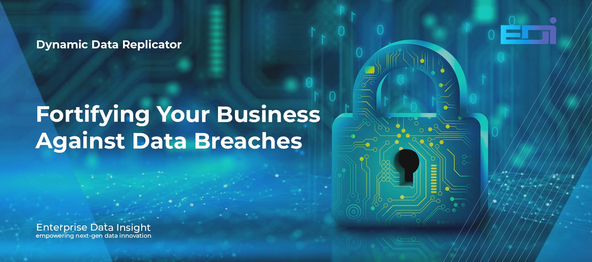 DDR Fortifying Your Business Against Data Breaches