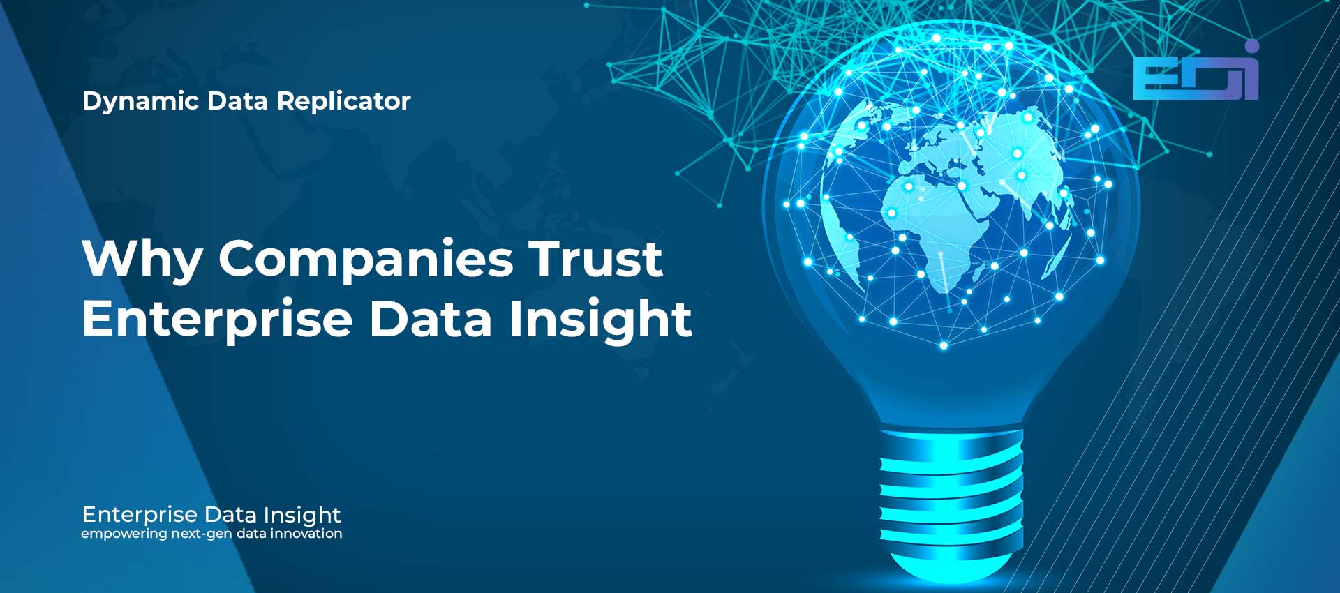 DDR Transform Your SAP Experience- Why Companies Trust Enterprise Data Insight
