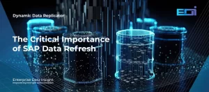 The Critical Importance of SAP Data Refresh: Balancing Fresh Data and Security