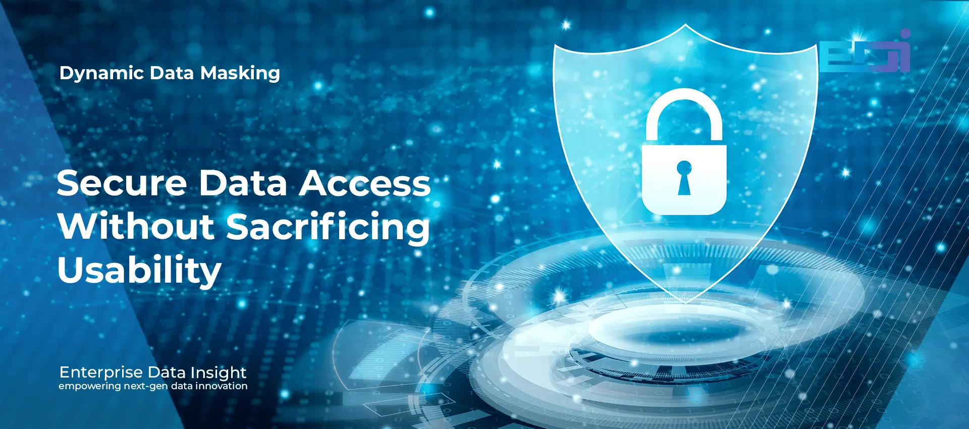 DDM Secure Data Access Without Sacrificing Usability