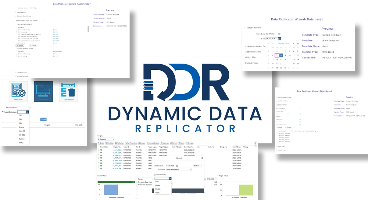 DDR test data manager for SAP