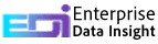 Enterprise Data Insight